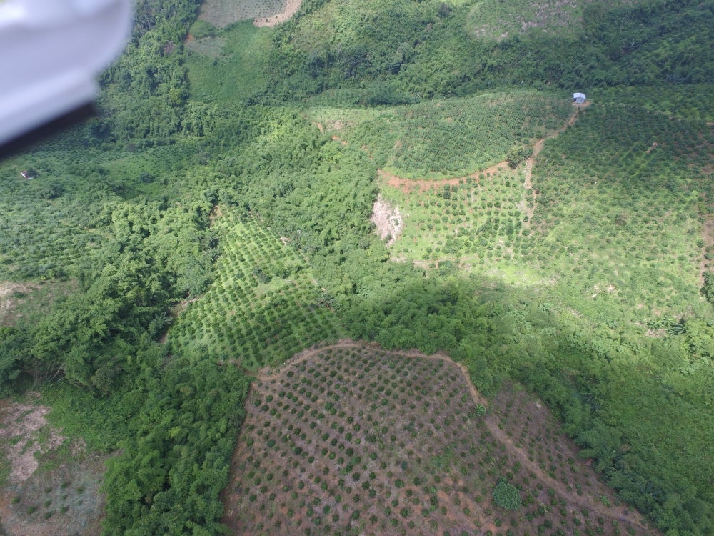 Vietnam Arabica Gr 1- 250g - Image 7